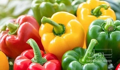 خرید فلفل دلمه ای