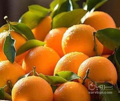 خرید پرتقال