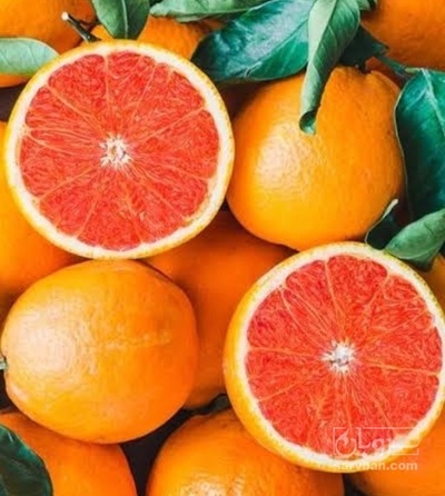 خرید پرتقال کاراکارا