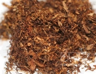 فروش تنباکو کوهی (گیاه‌ دارویی)