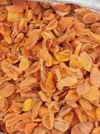 فروش برگه قیسی