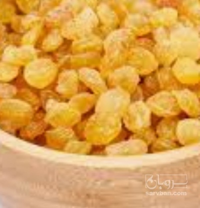 فروش کشمش طلای