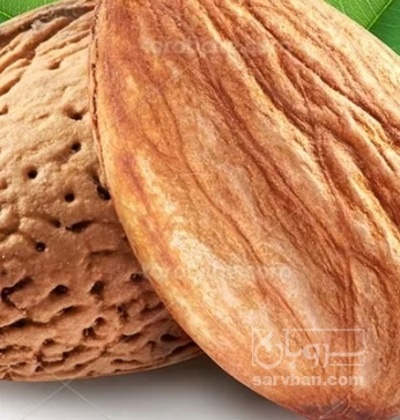 فروش بادام