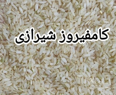 فروش برنج کامفیروزی | سروبان