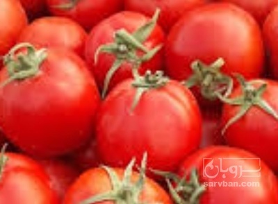 فروش گوجه فرنگی