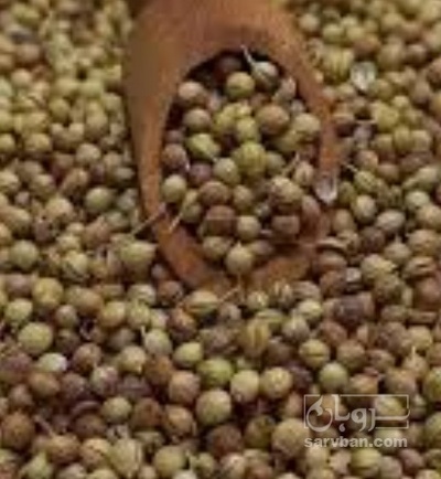 فروش تخم گشنیز (گیاه‌ دارویی)