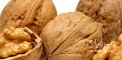 فروش گردو
