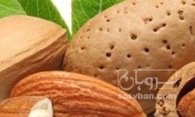 فروش بادام