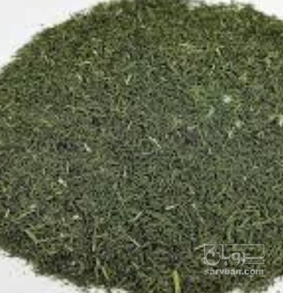 فروش شوید خشک (گیاه‌ دارویی)