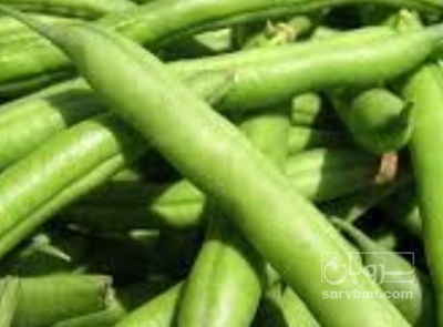 فروش لوبیا سبز