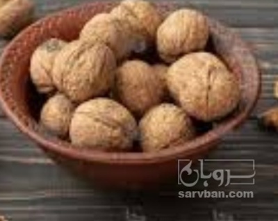 فروش گردو