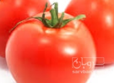 فروش گوجه فرنگی