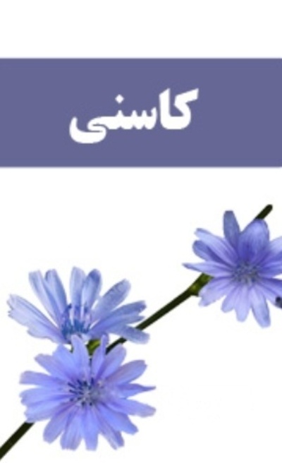 فروش عرق کاسنی