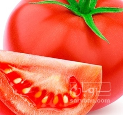 فروش گوجه فرنگی