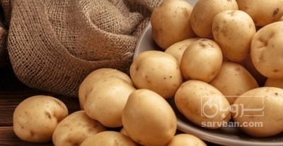 فروش سیب زمینی