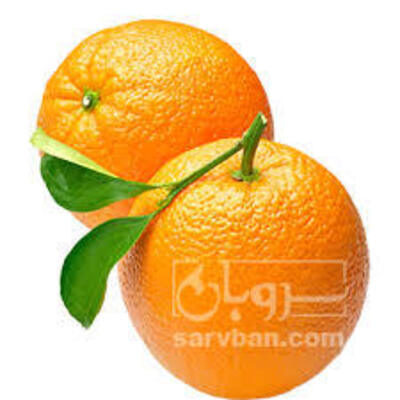 فروش پرتقال