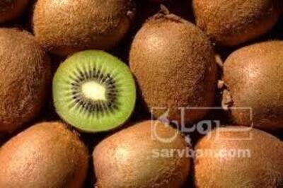 فروش کیوی