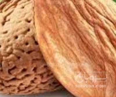 فروش بادام