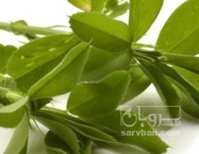 فروش یونجه