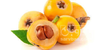 فروش ازگیل
