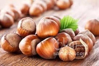 فروش فندق