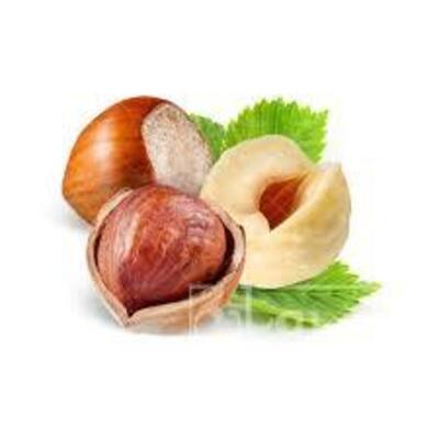 فروش فندق