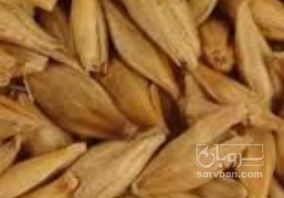 فروش جو