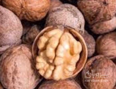 فروش گردو