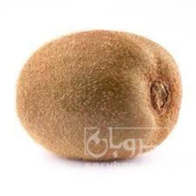 فروش کیوی