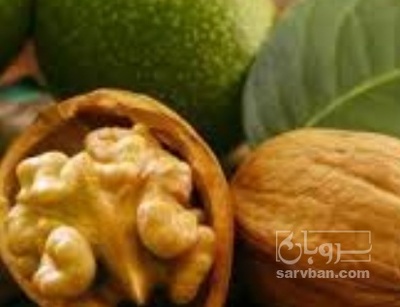 فروش گردو