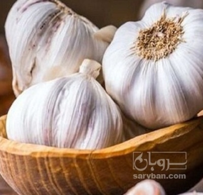 فروش سیر