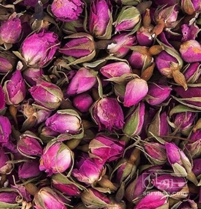 فروش گل محمدی (گیاه‌ دارویی)