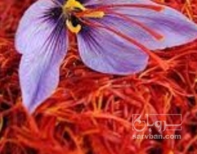 فروش زعفران (گیاه‌ دارویی) | سروبان