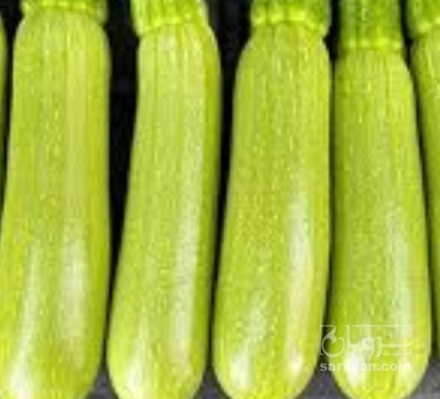 فروش کدو  سبز