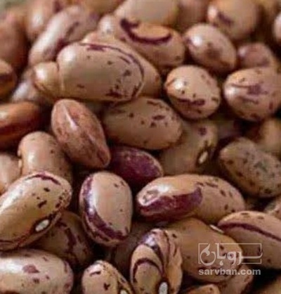 فروش لوبیا چیتی