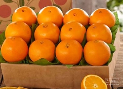 فروش پرتقال واشنگتن