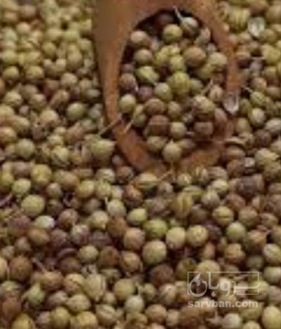 فروش تخم گشنیز (گیاه‌ دارویی)