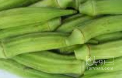 فروش بامیه