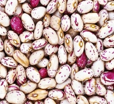 فروش لوبیا چیتی