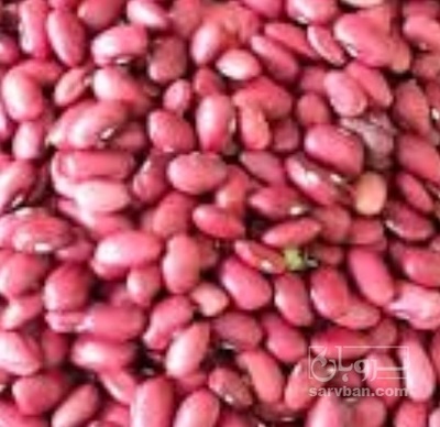 فروش لوبیا قرمز