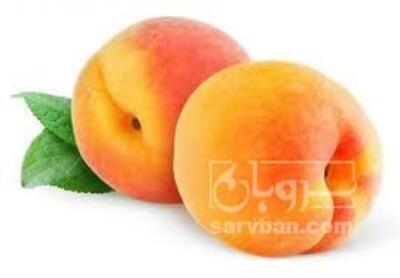 فروش هلو
