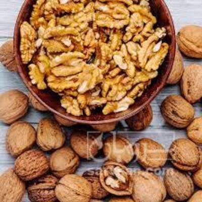 فروش گردو
