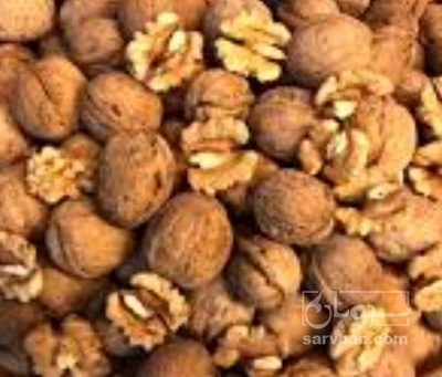 فروش گردو