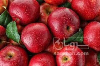 فروش سیب