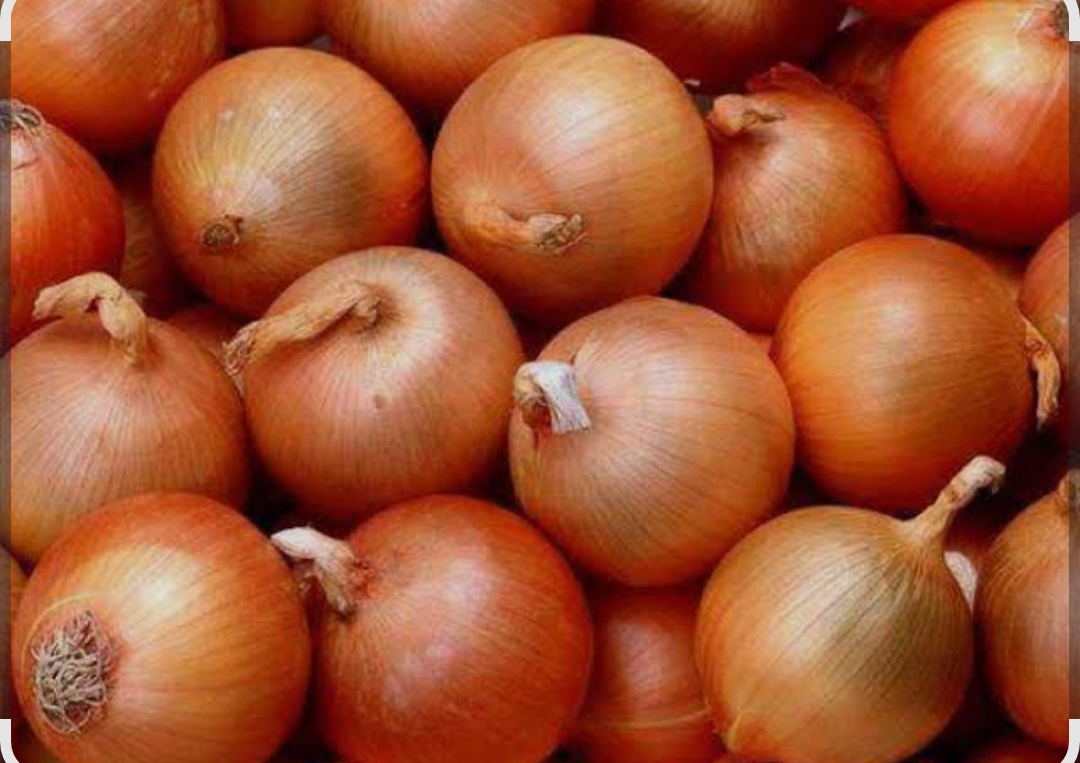 فروش پیازطلایی