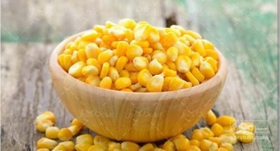 فروش ذرت مکزیکی