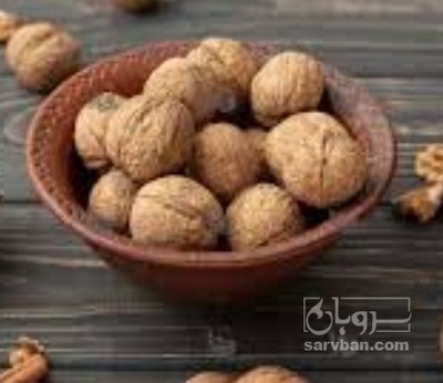 فروش گردو