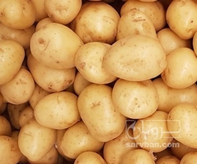 فروش سیب زمینی جلی