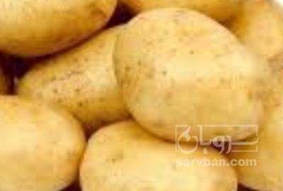 فروش سیب زمینی