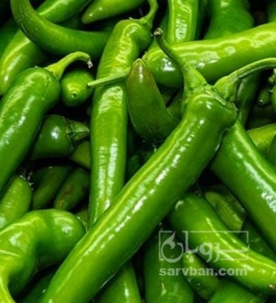 فروش فلفل تند